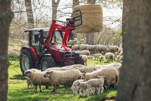 Massey Ferguson 4700 M tractor