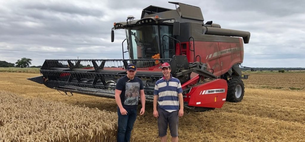 Two farmers on a wheat field