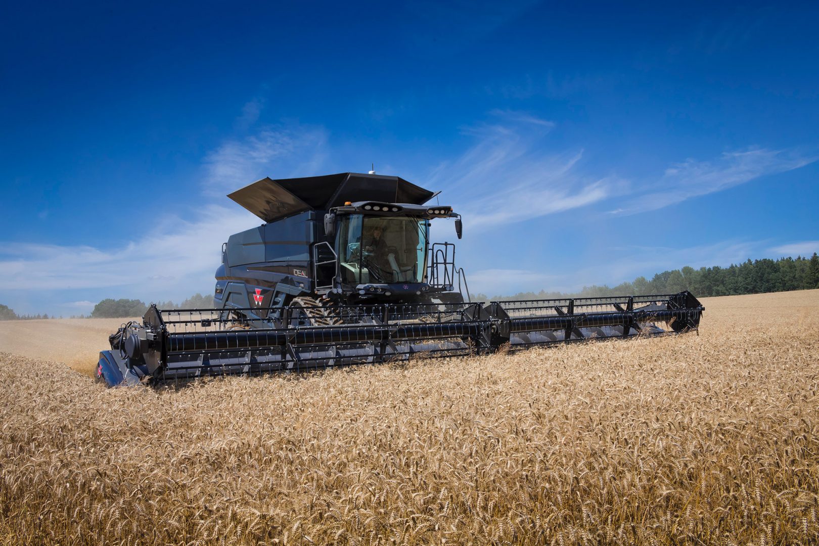 Massy Ferguson combine in field