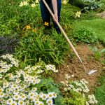 Kent and Stowe Carbon Steel Long Handled 3 Edge Hoe