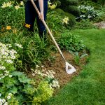 Kent and Stowe Stainless Steel Long Dutch Hoe