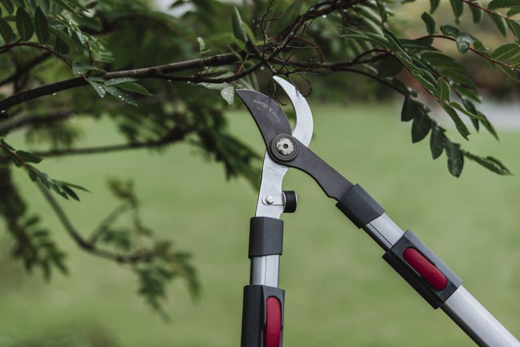 Kent and Stowe Telescopic Bypass Loppers