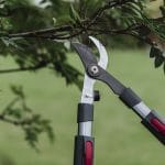 Kent and Stowe Telescopic Bypass Loppers
