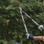 Kent and Stowe Telescopic Bypass Loppers
