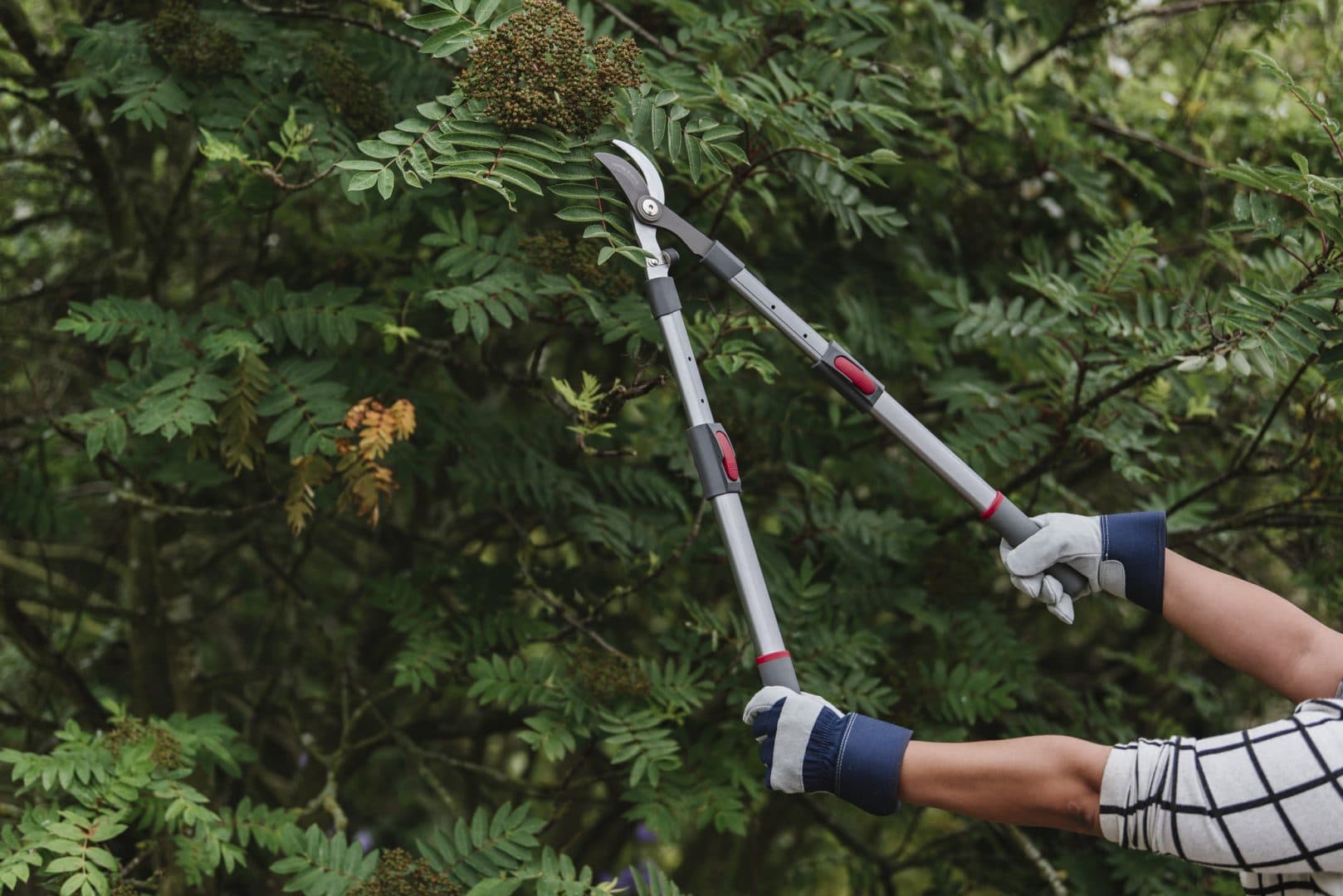 I'm interested in... Select An Option Agricultural Machinery Groundcare