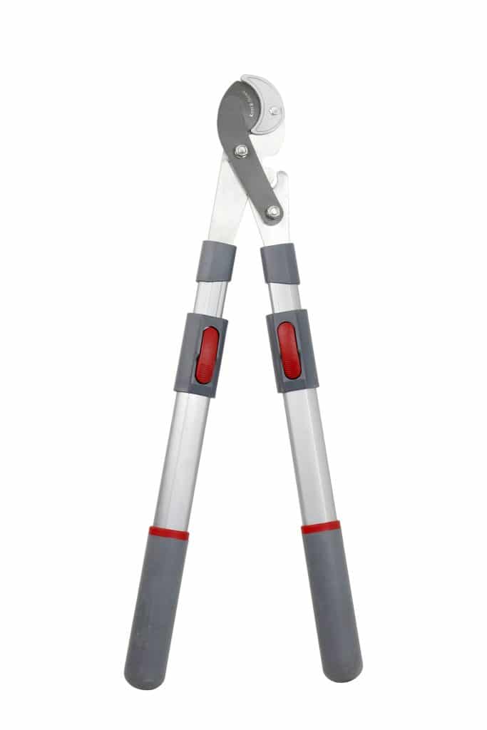 Kent and Stowe Telescopic Geared Anvil Loppers