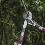 Kent and Stowe Telescopic Geared Anvil Loppers