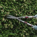 Kent and Stowe Telescopic Hedge Shears
