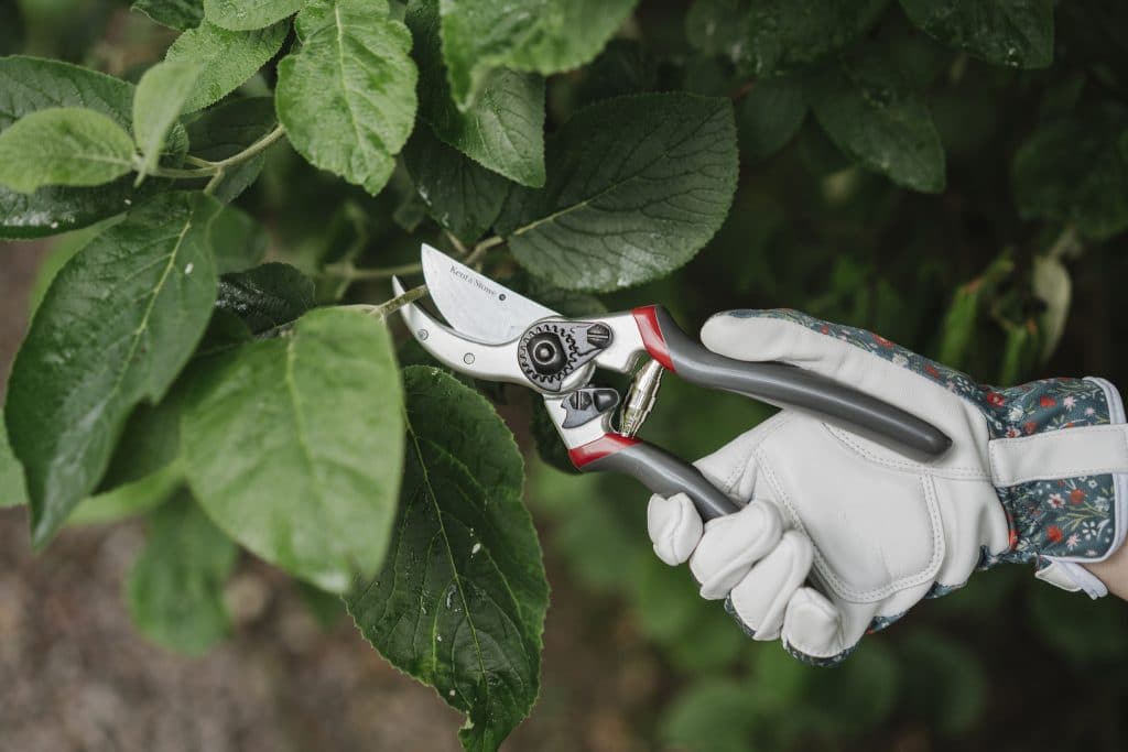 Professional Bypass Secateurs