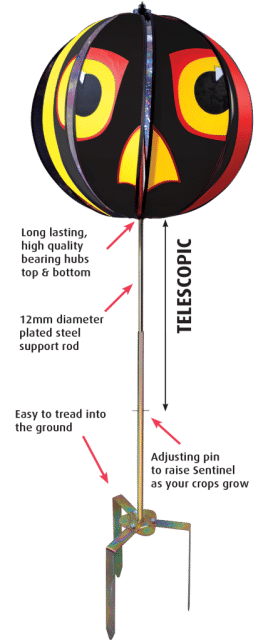 Sentinel Bird Scarer