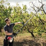 Honda SSPP PRUNER VERSATOOL ATTACHMENT