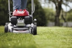 Honda Izy HRG466 PK mower in action cutting a green lawn