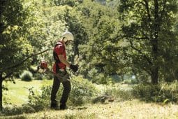 Honda UMK450 XE 47CC Brushcutter in action with a man in safety gear using it to tidy unkempt undergrowth in a green, wooded area.