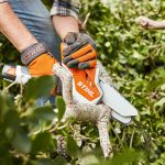 Stihl GTA 26 cordless pruner
