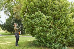 Man using hedge trimmer on shrubbery in an evergreen garden