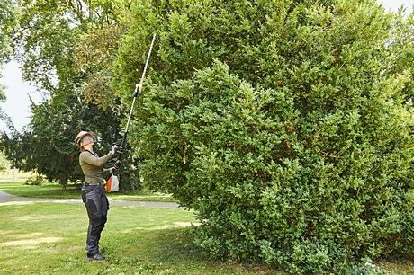 Man using hedge trimmer on shrubbery in an evergreen garden