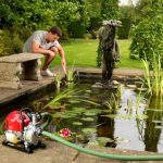 A man leans over his pond whilst the Honda WX10 Portable Water Pump is connected