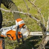A man wearing Stihl safety gloves and trousers uses a Stihl Cordless Chainsaw to cut a branch on a tree.