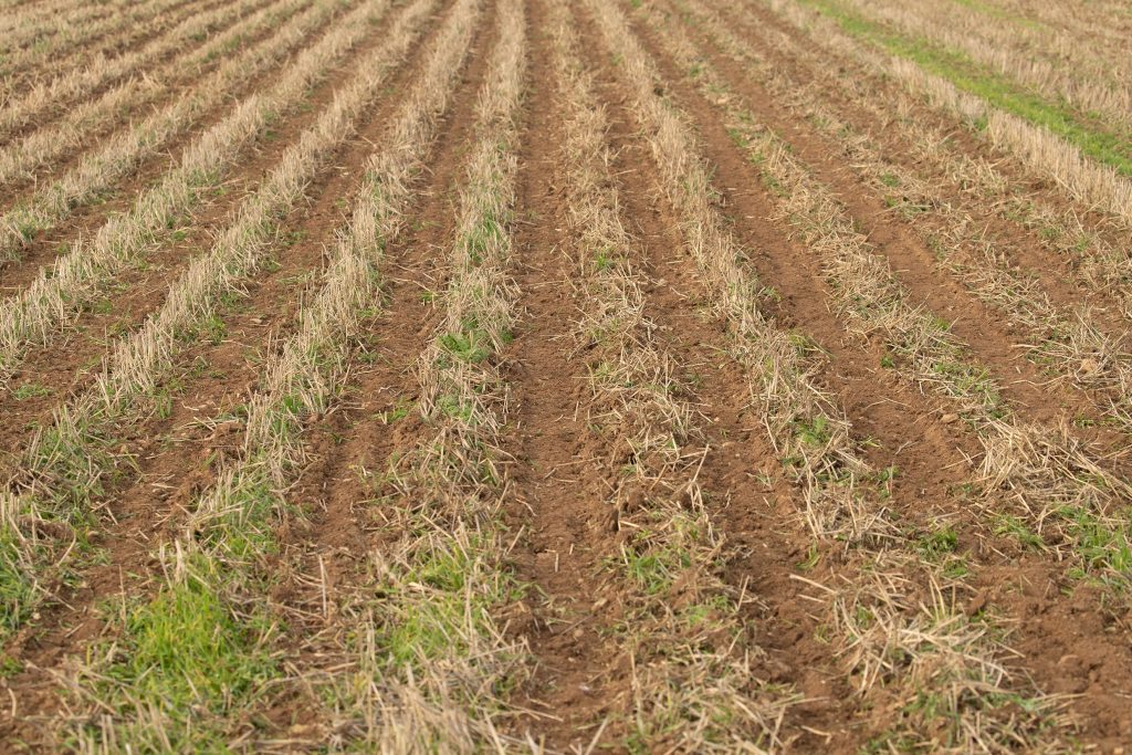 Kverneland's innovative tillage procedure for rows cultures such as beets