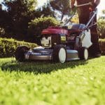 Close up of Honda Hrd536 Hx 53Cm Professional Variable Speed Lawn Mower in use