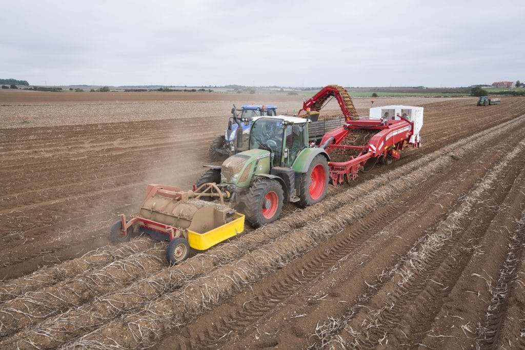 GRIMME GT 170 S potato harvester