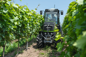 Fendt 200 V/F/P tractor for vineyards, orchards and specialist crop