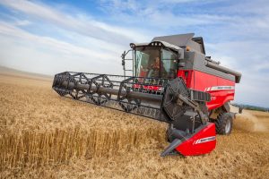 Massey Ferguson Activia S combine during harvest