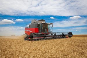 Massey Ferguson Beta combine during harvest