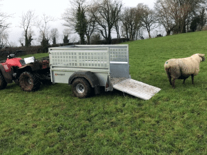 Nugent Quad trailer in a field