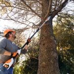 Stihl HTA50 Cordless Pole Pruner (3)