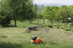 Stihl Lawn Scarifier at work