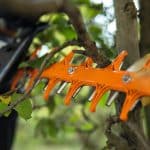 Stihl HSA 130 Cordless Hedge Trimmer 1