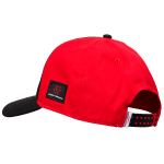 Massey Ferguson Born to Farm Cap side