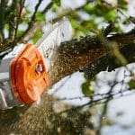 Stihl HTA135 Cordless Telescopic Pole Pruner Tool for professional users