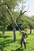 Powerful cordless pole pruner for tree maintenance and orchards
