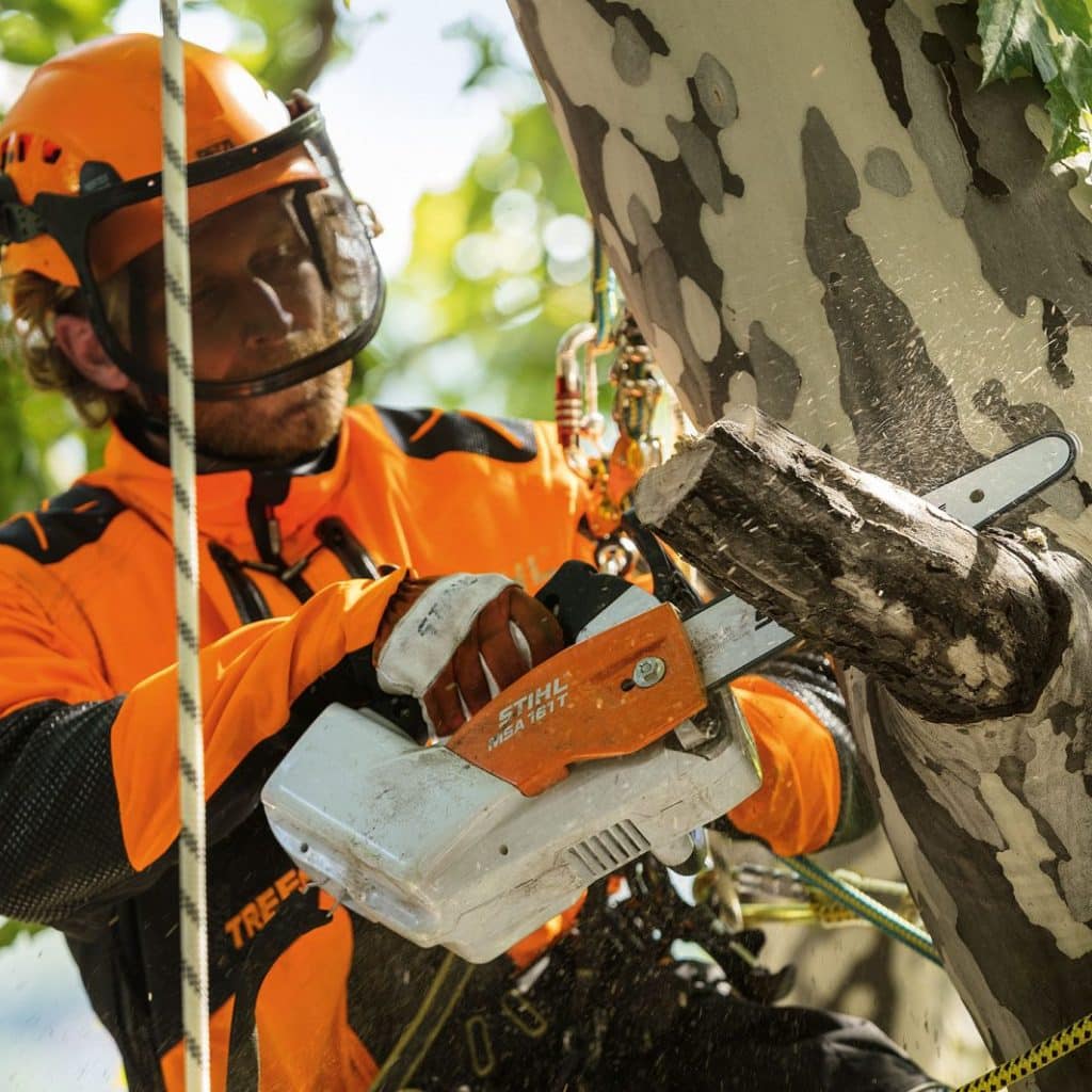 Stihl MSA161 T Cordless Chainsaw from the AP System