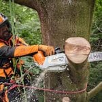 Powerful Stihl MSA220 TC-O Cordless Chainsaw