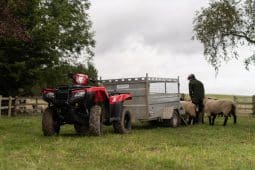 Honda TRX520FM2 ATV quad bike is in stock at Thurlow Nunn Standen