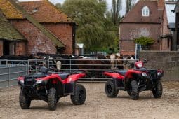 Honda TRX520FM2 ATV quad bike is in stock at Thurlow Nunn Standen, Honda dealer in Suffolk, Norfolk & Cambridgeshire