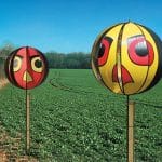 Hawk Eye Arable Farming Bird Scarer