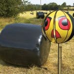 Hawk Eye Livestock Farmer Bird Scarer