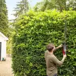 Honda Cordless Hedgetrimmer Lifestyle 2