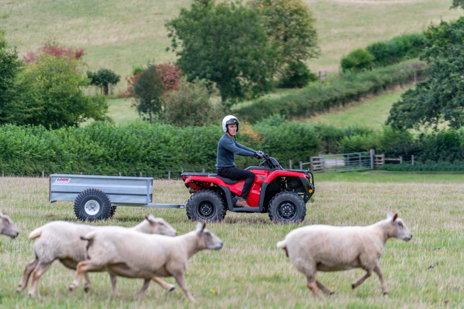 Honda ATV Dealer