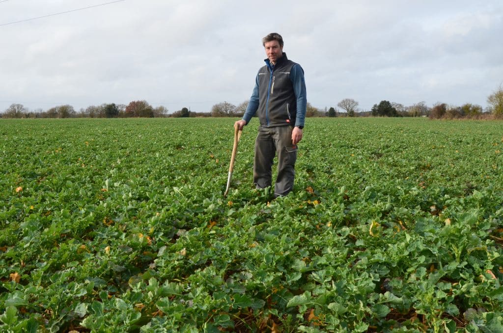 Oilseed rape was showing great promise during the first week of February.