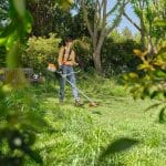 Stihl FSA80 Cordless Brushcutter working in a garden