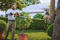 Stihl HSA 40 Cordless Hedge Trimmer Trimming