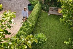 Stihl HSA 40 Cordless Hedge Trimmer Trimming Hedge