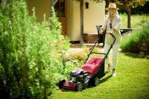 Mountfield mowers at TNS, authorised dealer and service centre