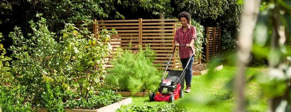 Mountfield lawnmowers at TNS