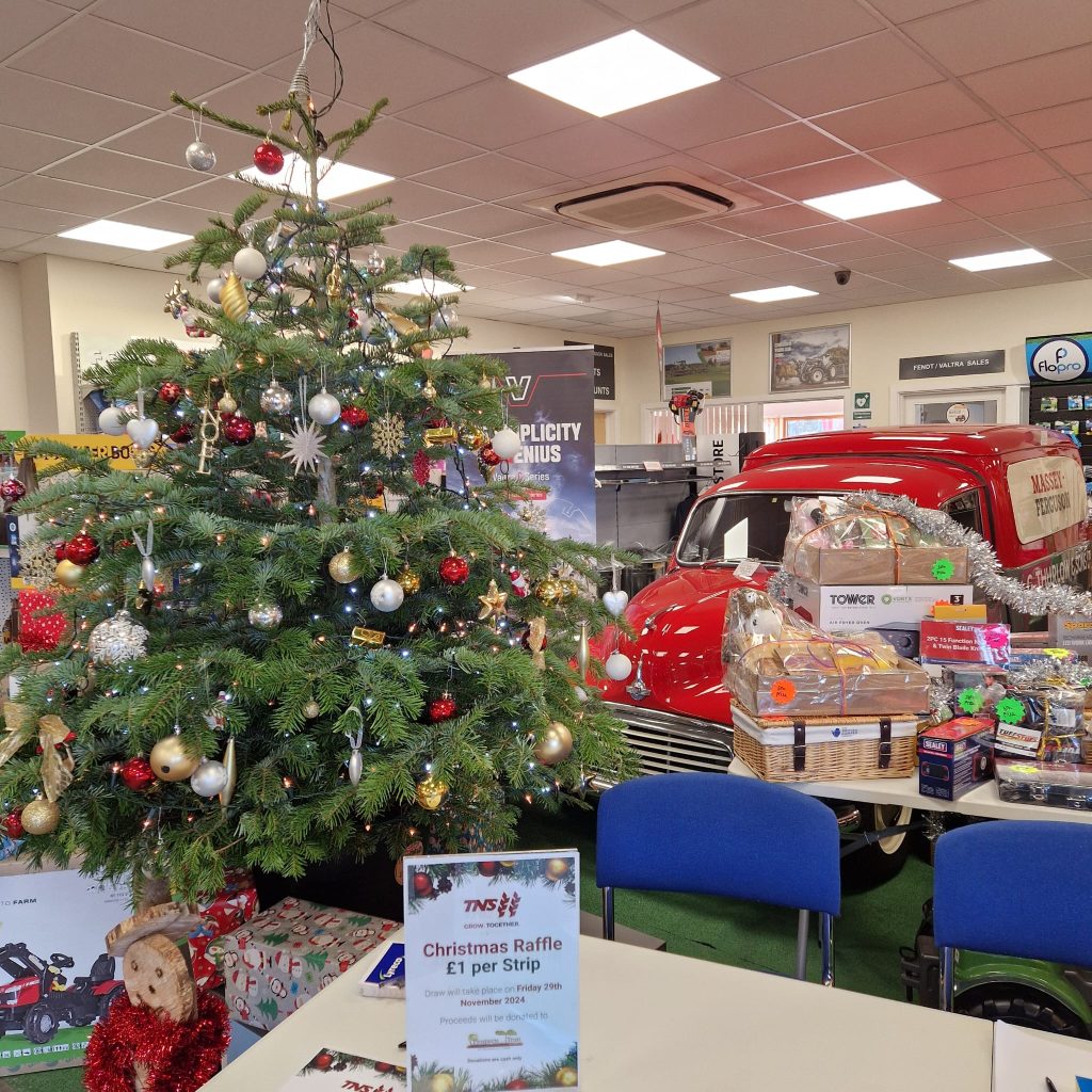 Christmas tree at TNS Littleport Country Store